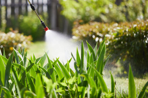24/7 Emergency Mosquito Control experts in Munsey Park, NY
